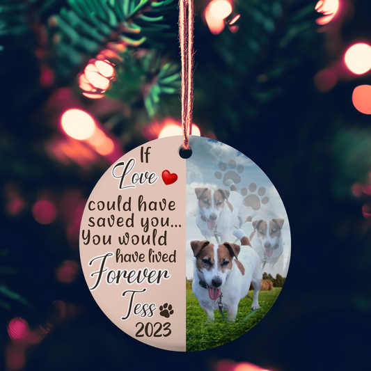 CERAMIC DISC ORNAMENT